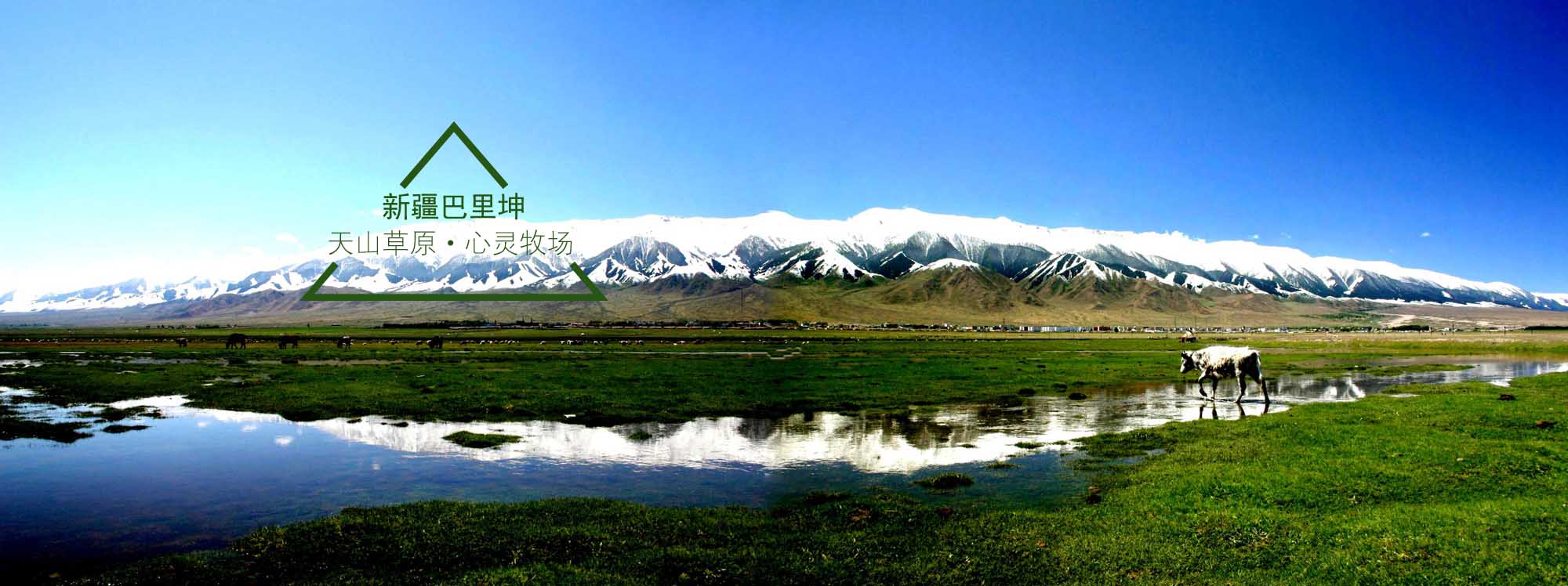 新疆巴里坤旅游景区品牌营销总体策划案例