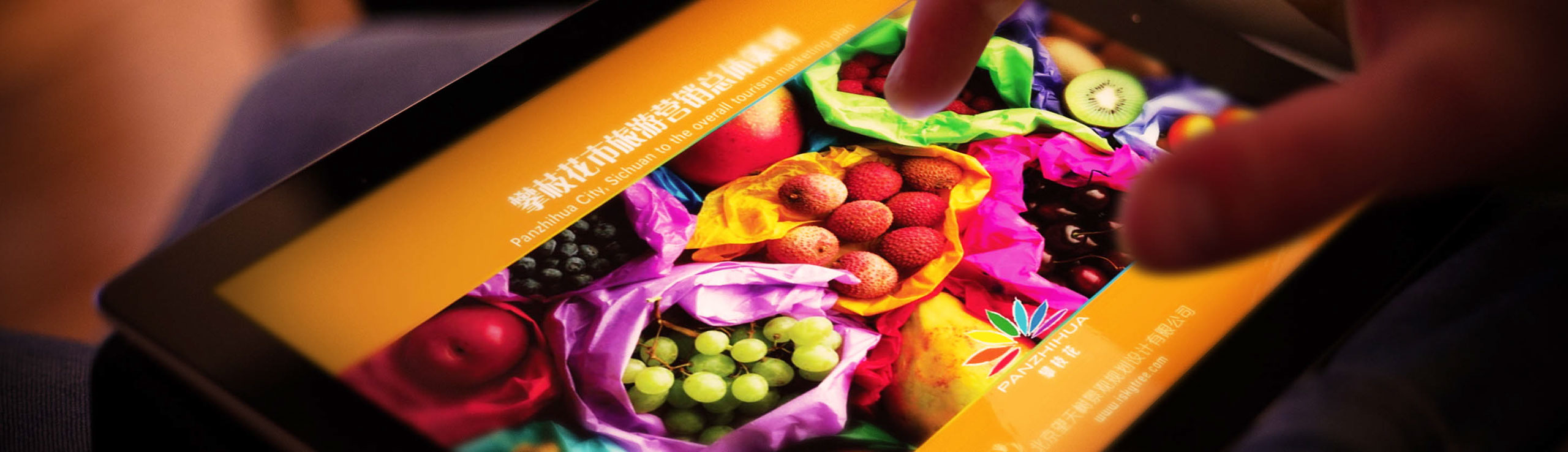 四川攀枝花旅游营销总体策划设计方案