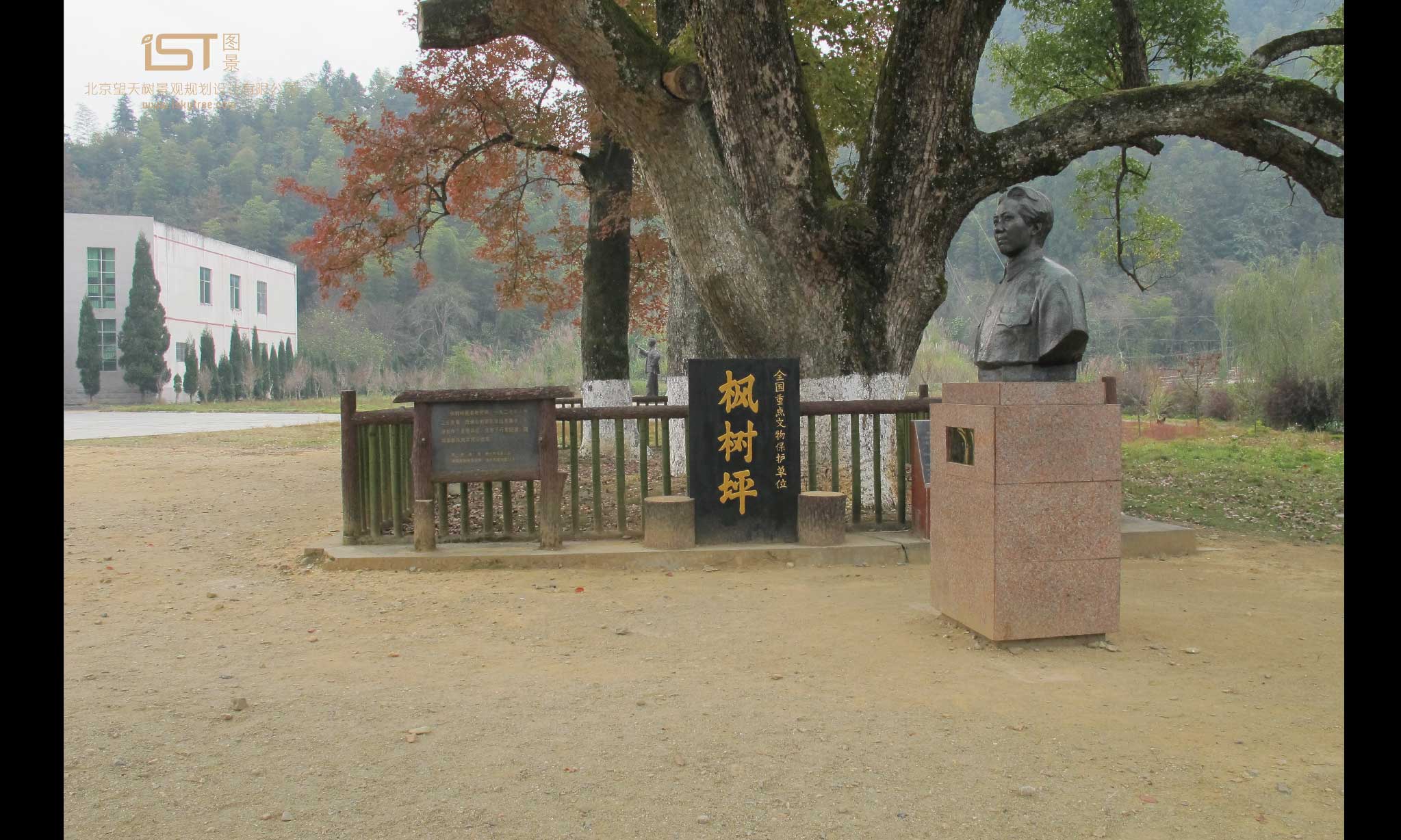 三湾枫树坪