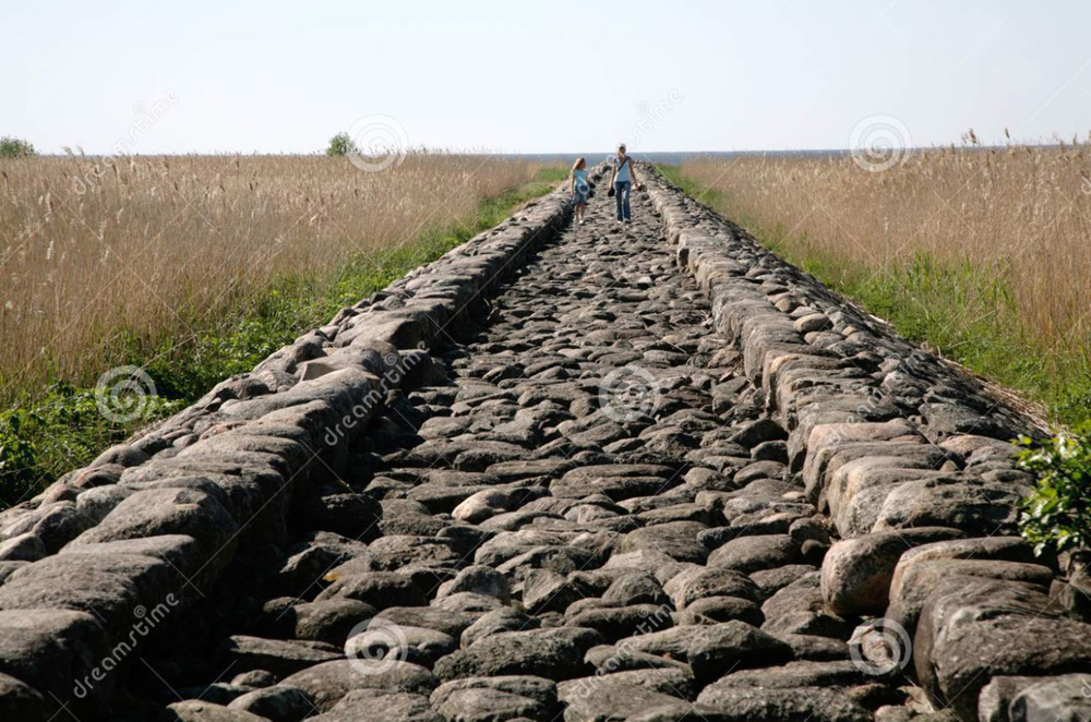 非主流道路设计