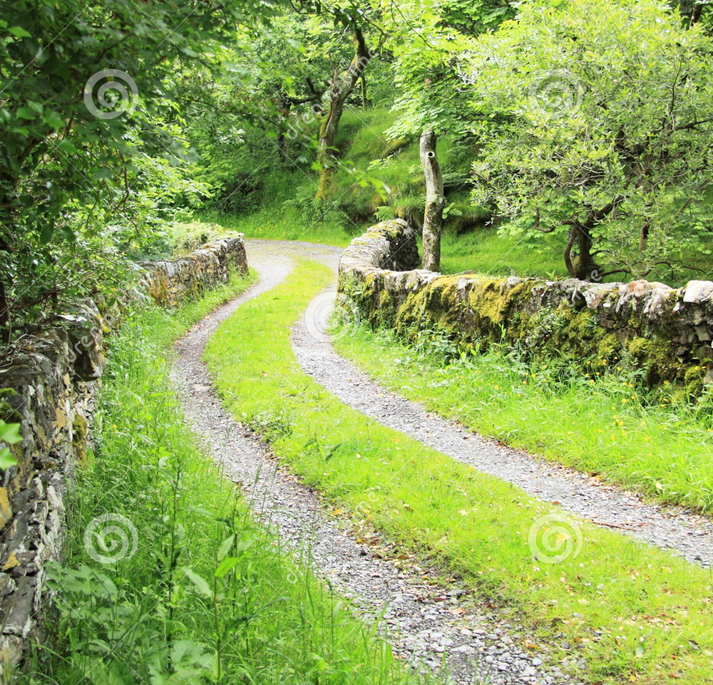 乡村旅游道路设计