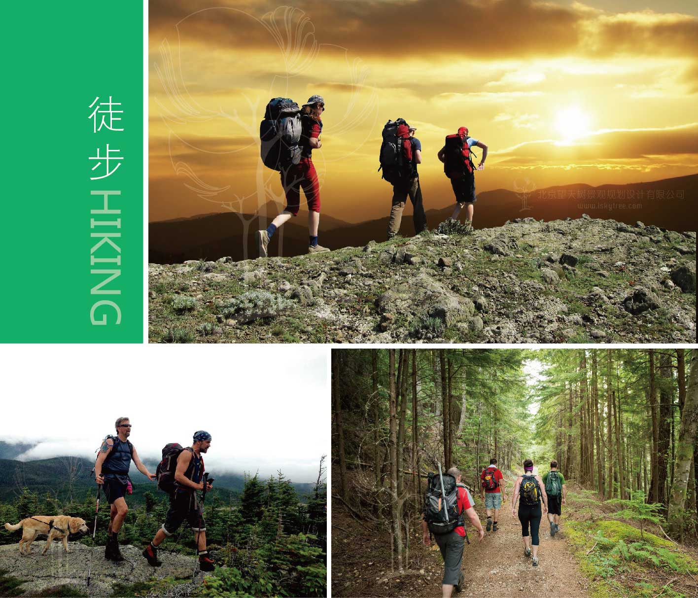 森林徒步旅游 森林徒步旅游