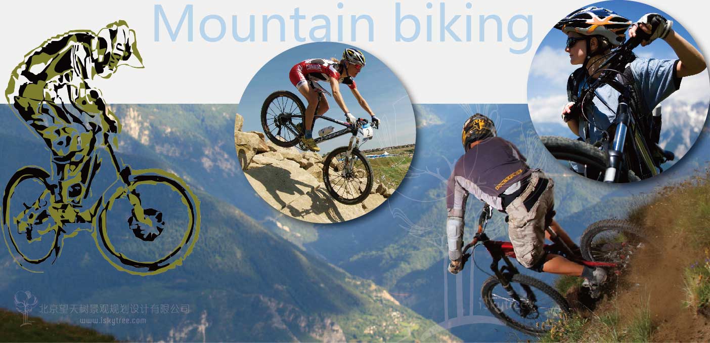 自行车运动 自行车运动