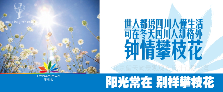 四川攀枝花旅游营销总体策划广告表现