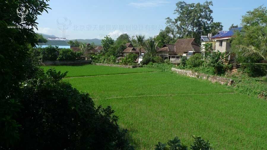 勐仑傣族村寨