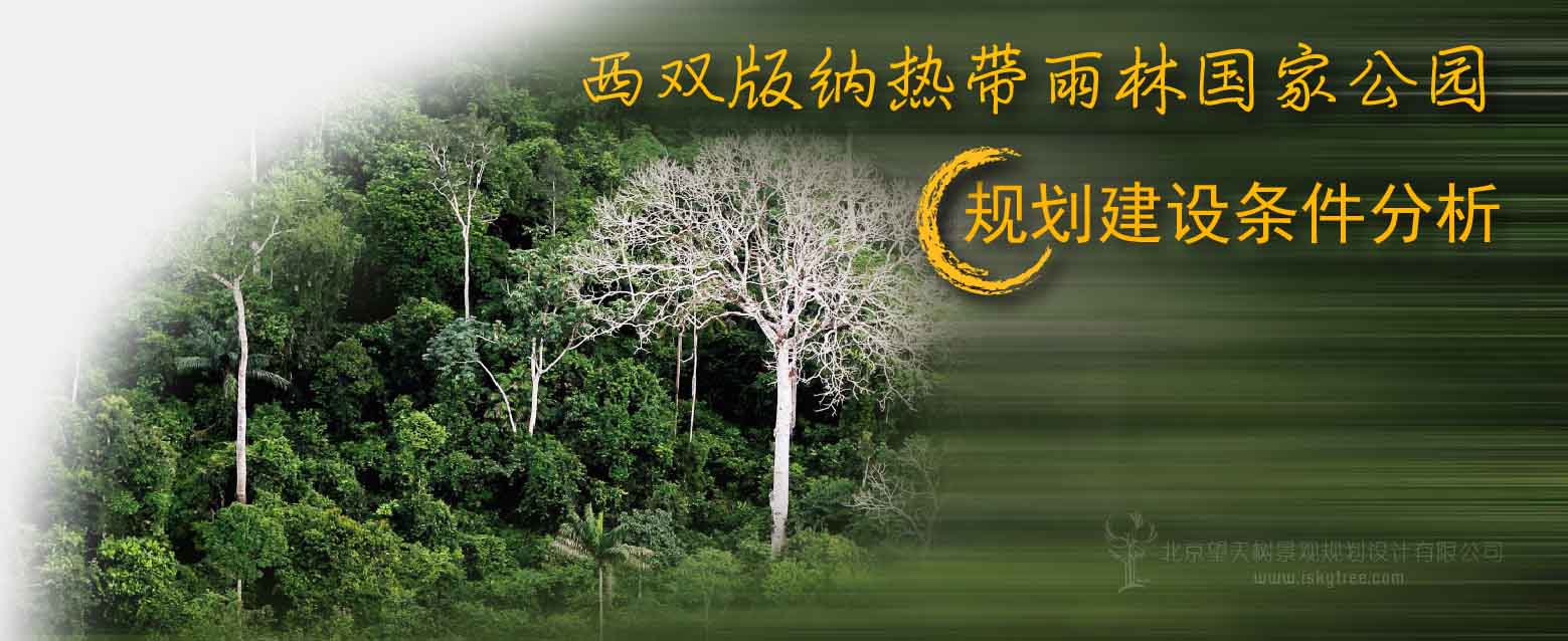 西双版纳热带雨林国家公园规划建设条件分析