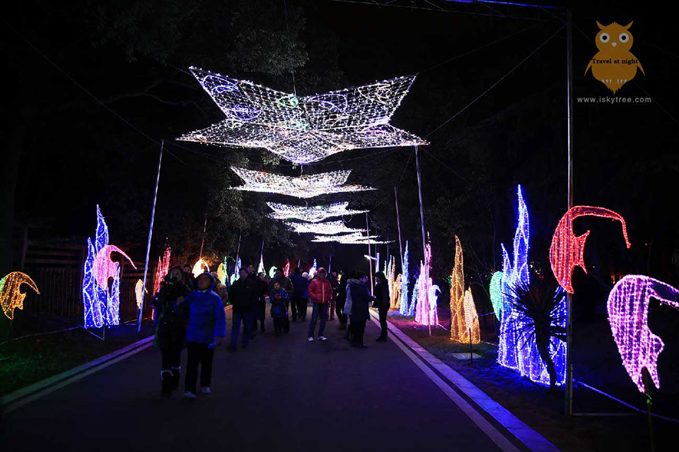 灯光节灯设计施工