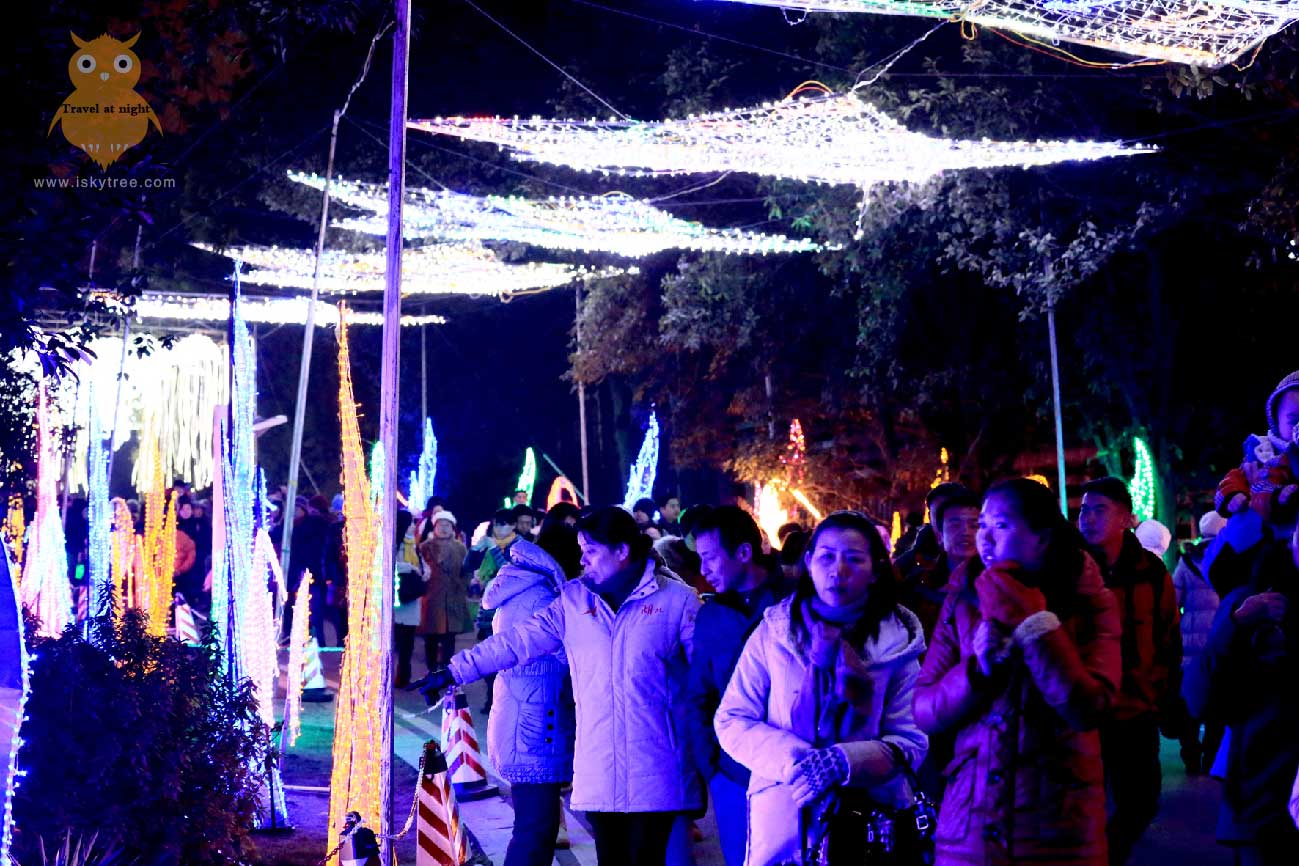 灯光节夜游人群